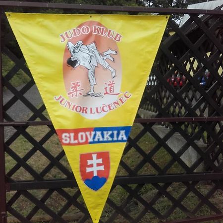 Turisticka Ubytovna Hotel Divín 外观 照片